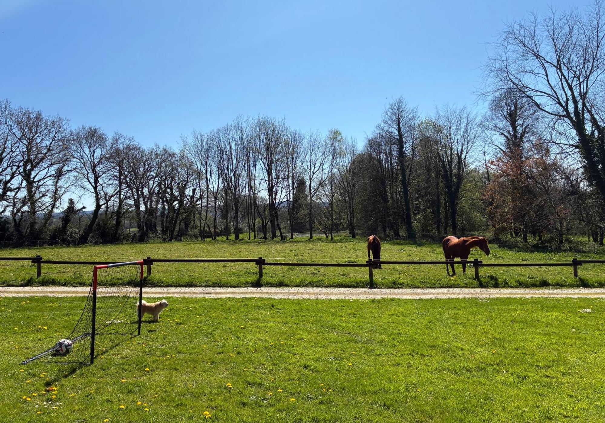 Gite Milin A Sizun Hebergement Confortable Pour 7 Pers Exterior photo